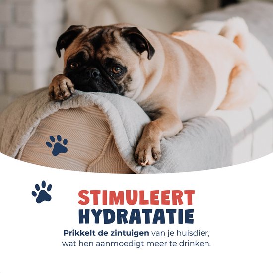HydroBuddy™ | Vers & Vrij – Draadloze Drinkfontein Voor Altijd Fris Water