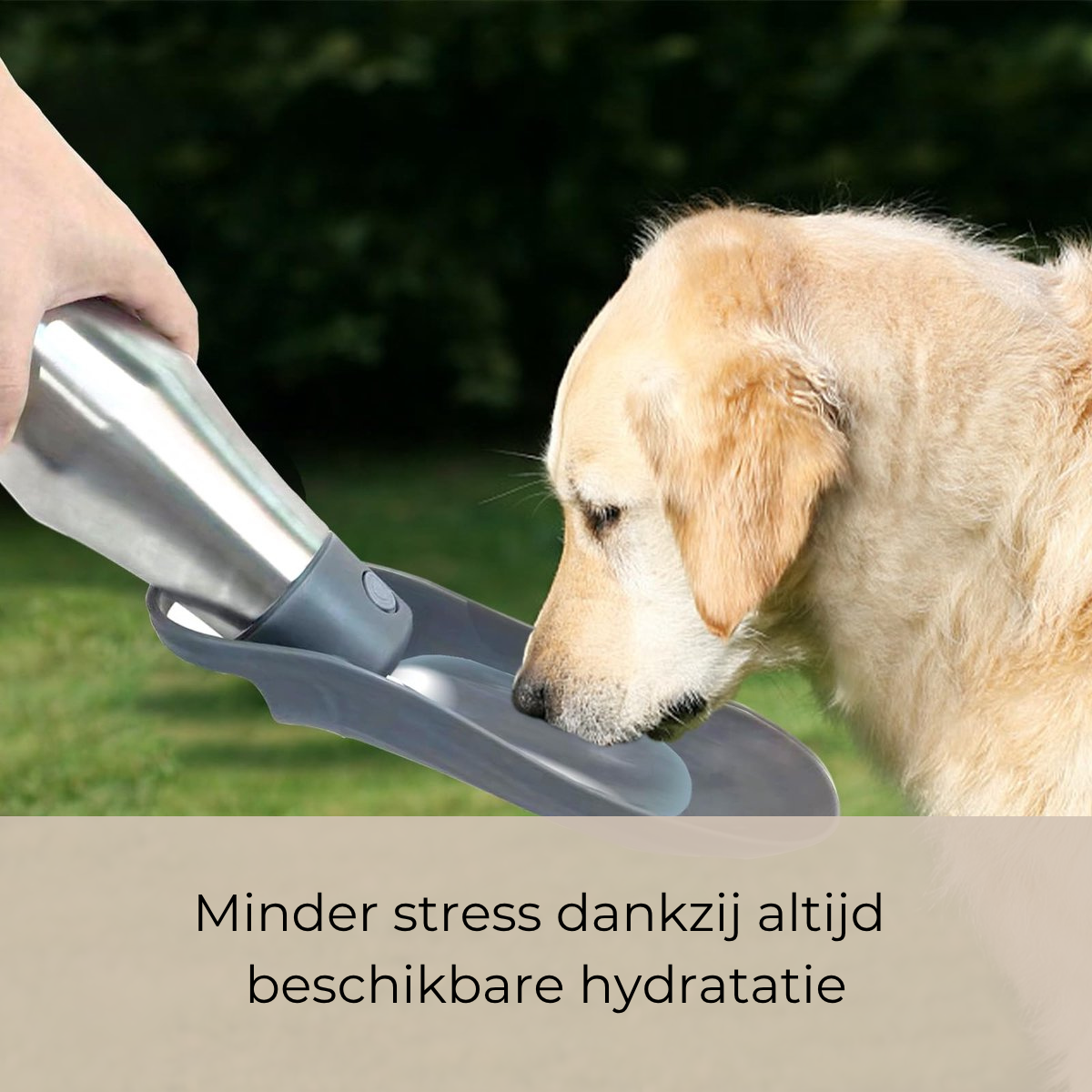 HydraPaw | Travel Drinkfles voor Honden 750ML Lekvrij & Premium RVS