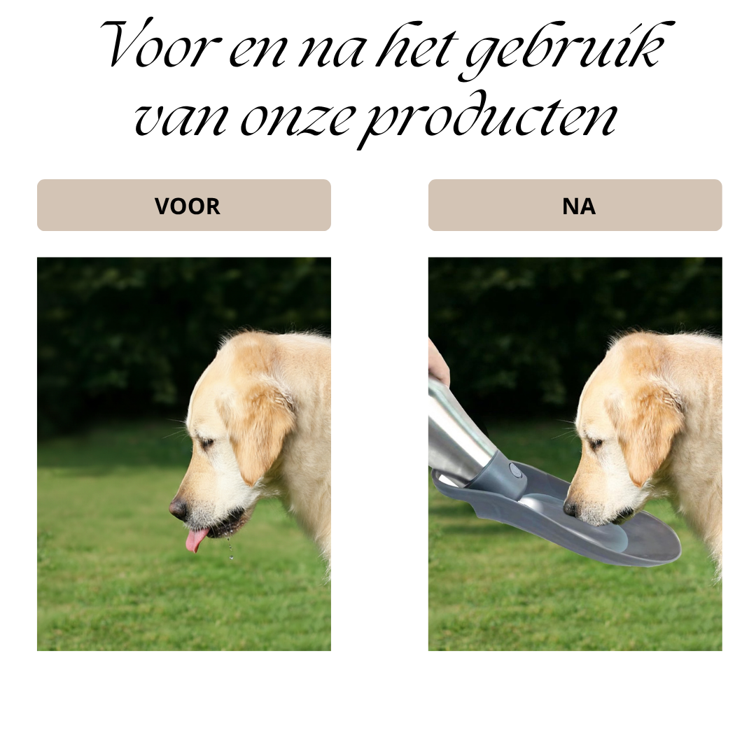 HydraPaw | Travel Drinkfles voor Honden 750ML Lekvrij & Premium RVS